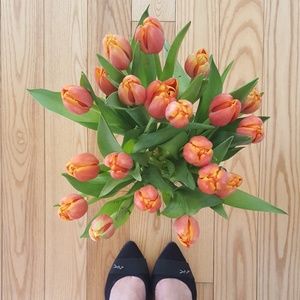 Meet your Posher, Jane